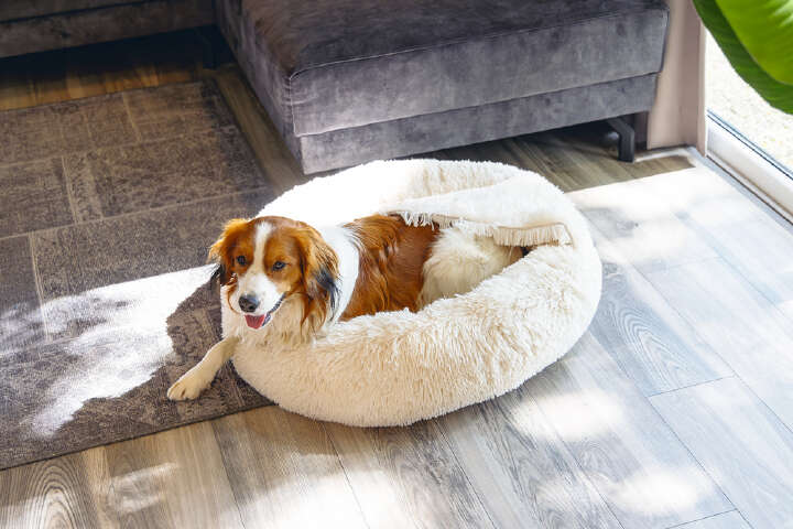 beeztees Hundebett Yala